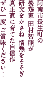 阿南市長生町の養鶏家 田村智照と二代目 桂樹が研究をかさね 情熱をそそぎ 真正直に育てた自信作ぜひ一度 ご賞味ください！