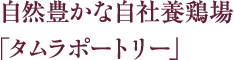 自然豊かな自社養鶏場「タムラポートリー」